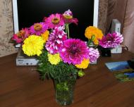 Степне з panoramio.com