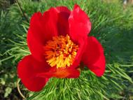 Дружне з panoramio.com