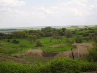 Новопелагіївка з panoramio.com