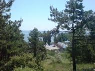 Сергіївка з panoramio.com