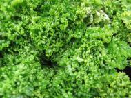 Придніпровське з panoramio.com