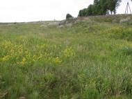 Іценків з panoramio.com