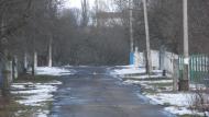 Соколівка - Останні фото
