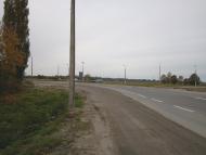 Кіпті з panoramio.com