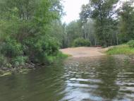 Кияшки з panoramio.com