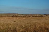 Нова Астрахань з panoramio.com