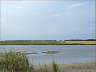 Маяк з panoramio.com