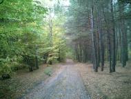 Полянь з panoramio.com