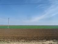 Новокам'янка - Останні фото