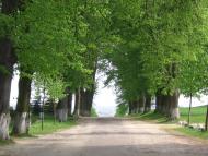 Козулька з panoramio.com