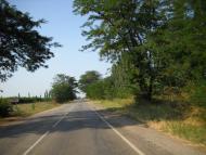 Журавки з panoramio.com