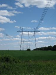 Зелене - Останні фото