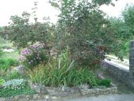 Полянь з panoramio.com