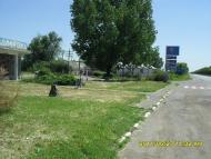 Гребеники - Последние фото