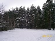 Вища Дубечня з panoramio.com