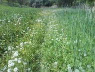 Макіївка - Останні фото