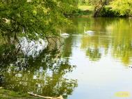 Комишуваха з panoramio.com