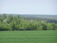 Дмитрівка з panoramio.com