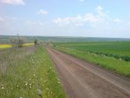 Балкове - Останні фото