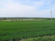 Дмитрівка з panoramio.com