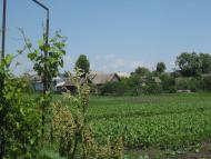 Тустань з panoramio.com