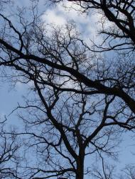 Трушки - Останні фото