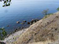 Малоріченське з panoramio.com