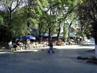 Виноградів з panoramio.com