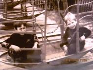 Dniprovske - Latest photos