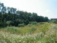 Лапаївка з panoramio.com