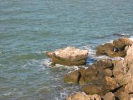 Мисове з panoramio.com