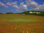 Холмівка - Останні фото