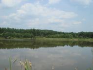 Кодра з panoramio.com