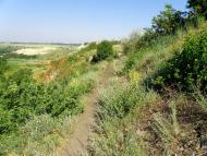 Голубівське з panoramio.com