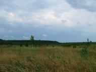 Демченково - Последние фото