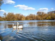 Комишуваха з panoramio.com