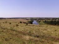 Великомихайлівка - Останні фото