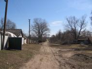 Петрушин з panoramio.com