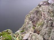 Виноградний Сад з panoramio.com