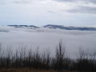 Земляничне з panoramio.com