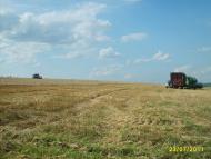 Суховатое - Последние фото