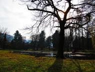 Карпати з panoramio.com