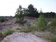 Перше Травня з panoramio.com