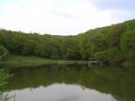 Жовнівка з panoramio.com