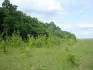 Мала Стружка з panoramio.com