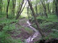 Жовнівка з panoramio.com