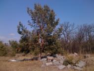 Чмирівка з panoramio.com