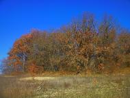 Верхоріччя з panoramio.com