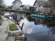 Антонівка з panoramio.com