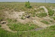 Михайло-Заводське з panoramio.com